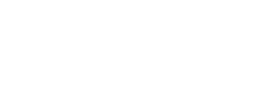 Zambia Ads 