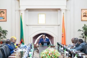 grow zambia agenda