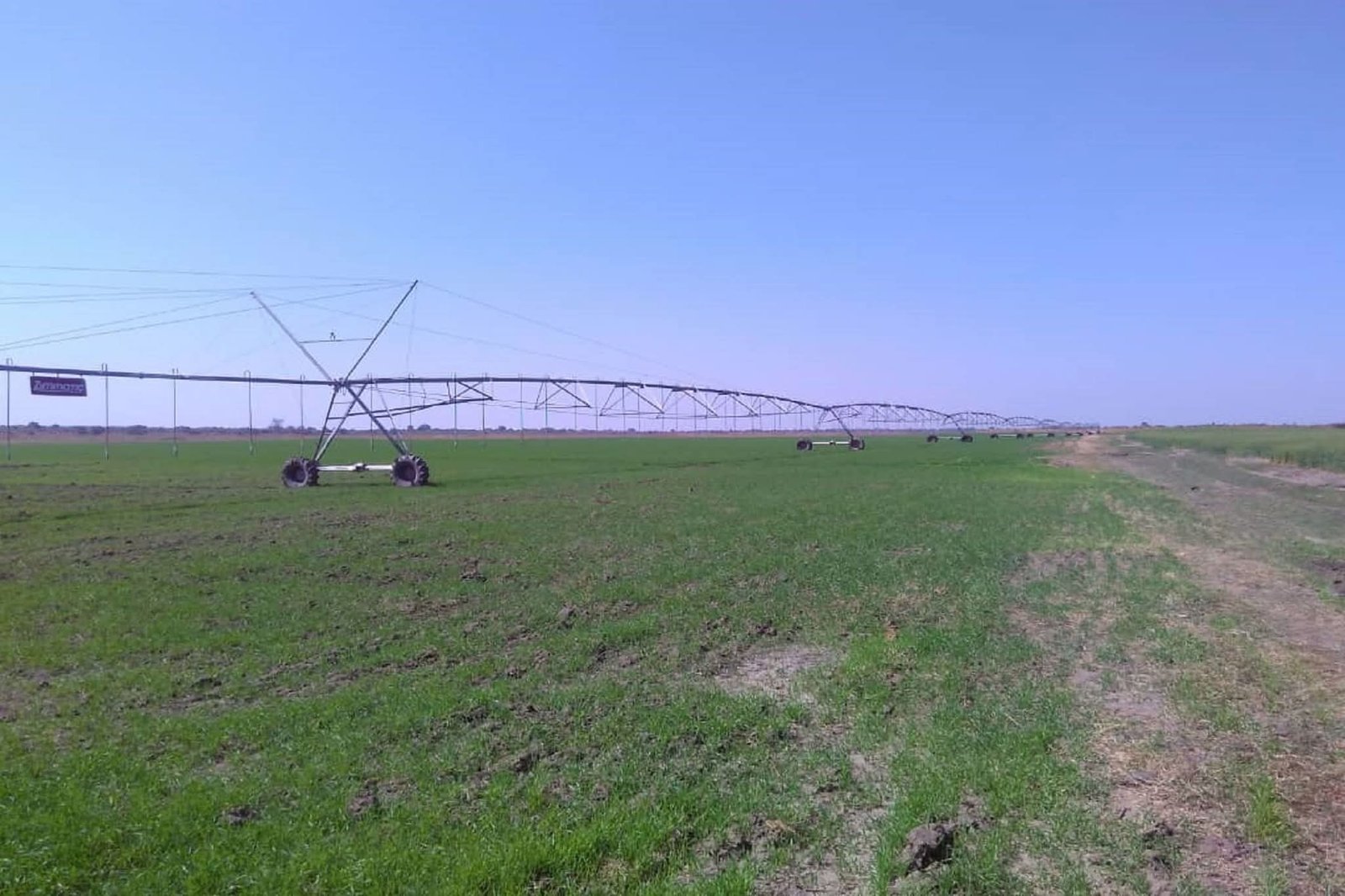 Exceptional Agricultural Investment Opportunity 324 Hectare Farm. Sale