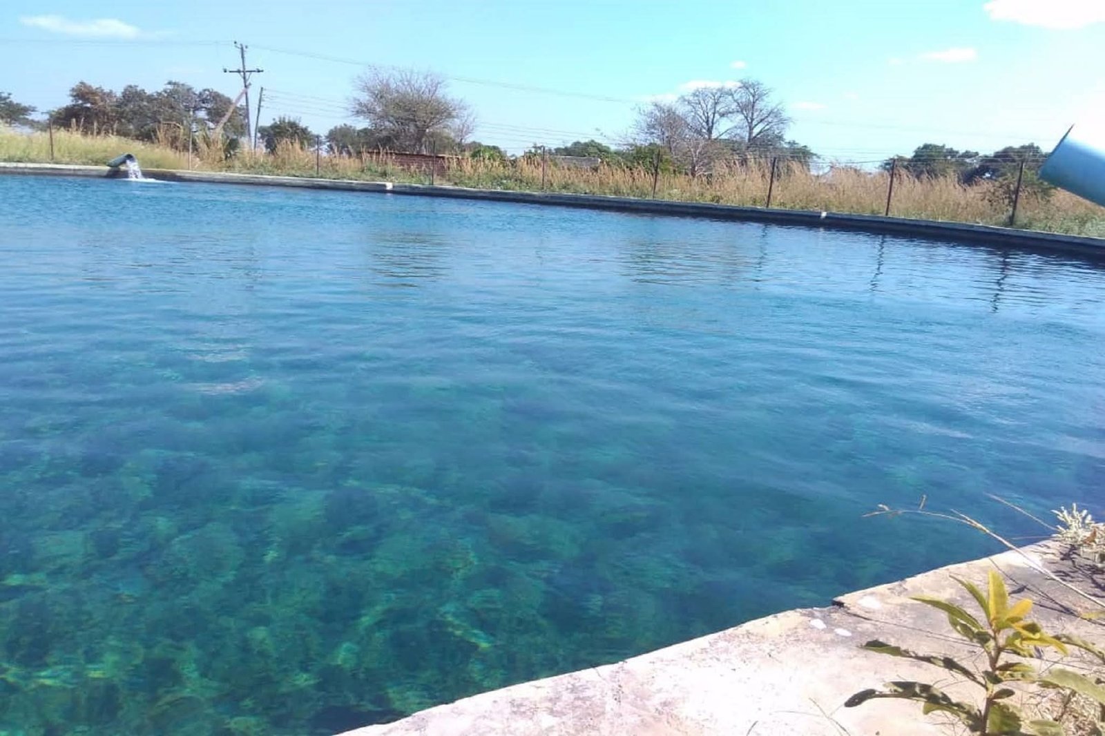 Exceptional Agricultural Investment Opportunity 324 Hectare Farm. Sale