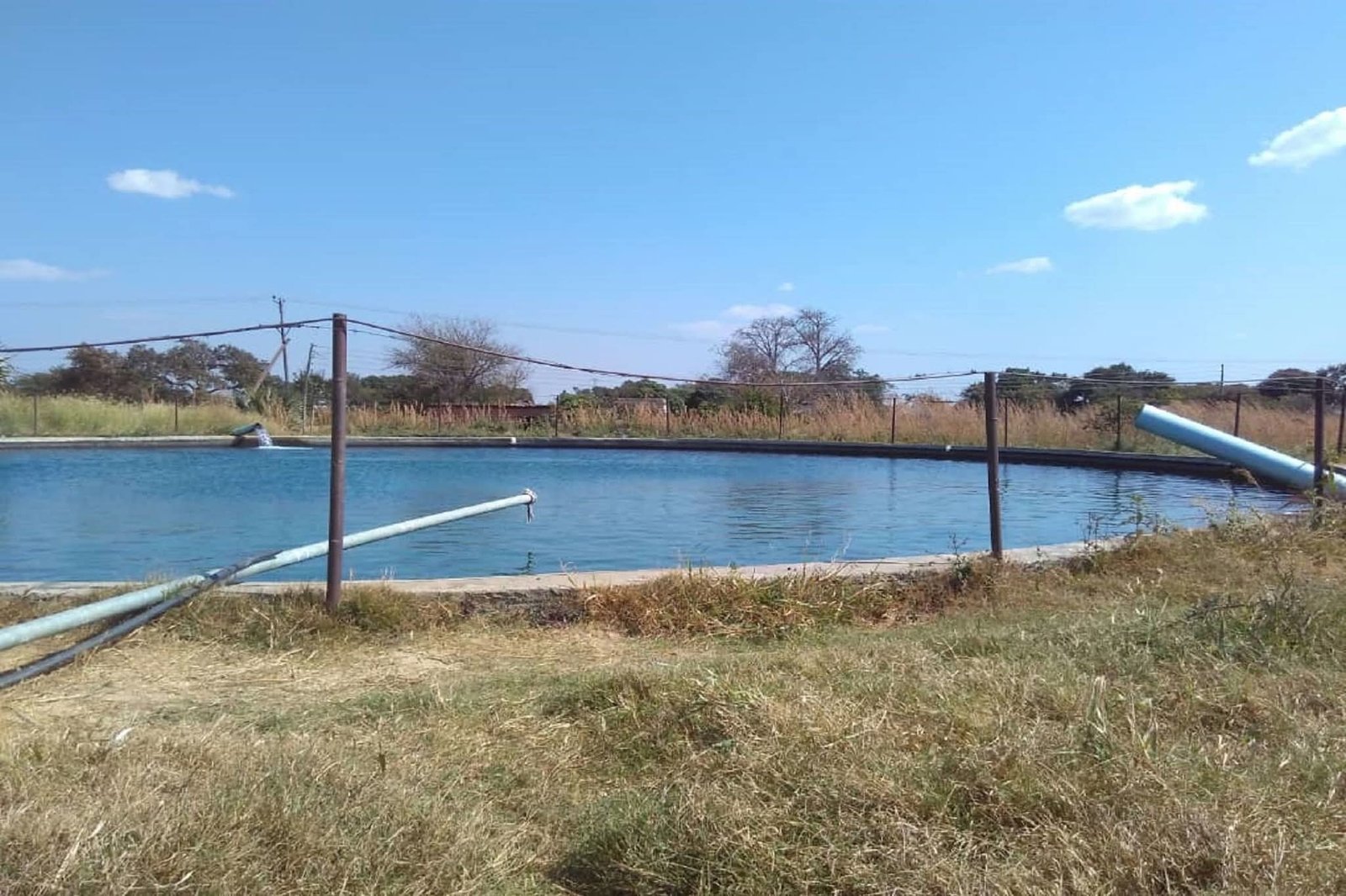 Exceptional Agricultural Investment Opportunity 324 Hectare Farm. Sale