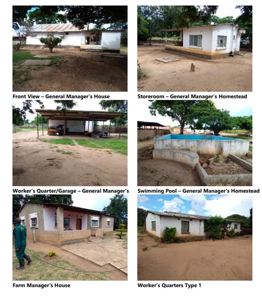 🐄 Premier Beef Cattle Ranch Investment – Mazabuka, Zambia